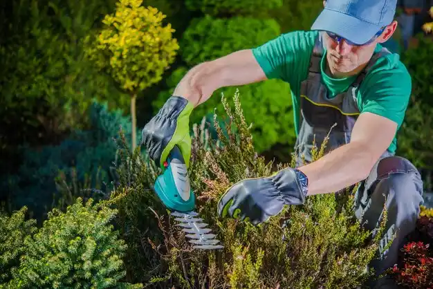 landscaping services Florence